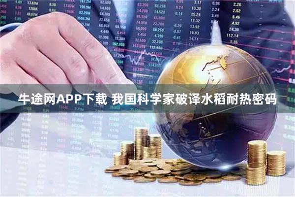 牛途网APP下载 我国科学家破译水稻耐热密码
