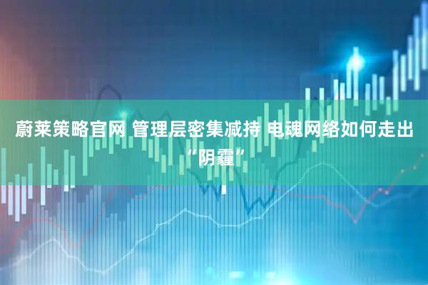 蔚莱策略官网 管理层密集减持 电魂网络如何走出“阴霾”