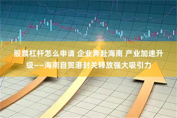 股票杠杆怎么申请 企业奔赴海南 产业加速升级——海南自贸港封关释放强大吸引力