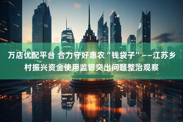 万店优配平台 合力守好惠农“钱袋子”——江苏乡村振兴资金使用监管突出问题整治观察