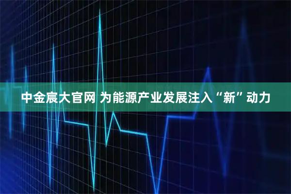 中金宸大官网 为能源产业发展注入“新”动力
