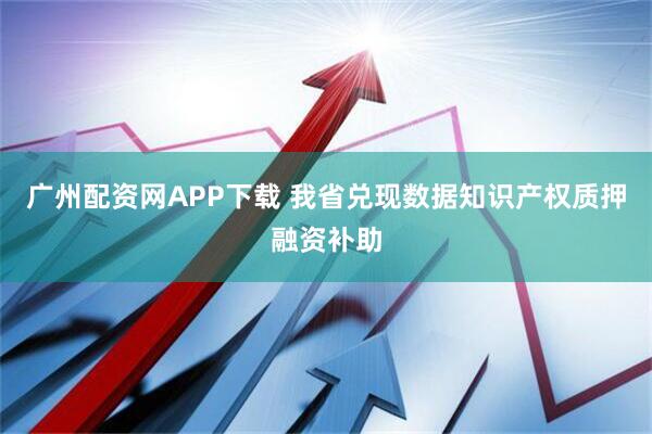 广州配资网APP下载 我省兑现数据知识产权质押融资补助