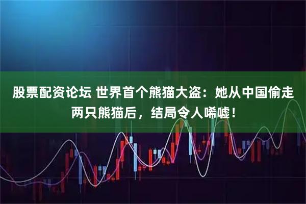 股票配资论坛 世界首个熊猫大盗：她从中国偷走两只熊猫后，结局令人唏嘘！