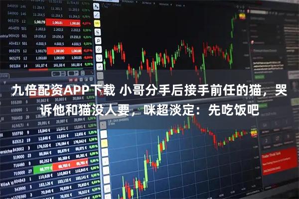 九倍配资APP下载 小哥分手后接手前任的猫，哭诉他和猫没人要，咪超淡定：先吃饭吧